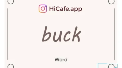 Meaning and usage of buck word