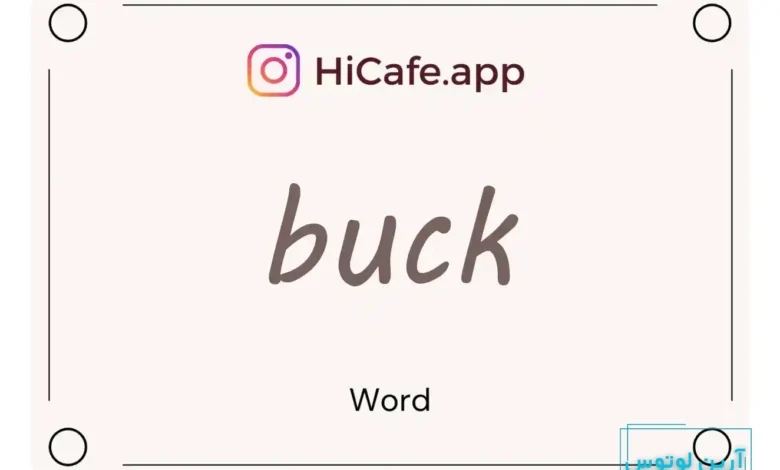 Meaning and usage of buck word