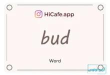 Meaning and usage of bud word