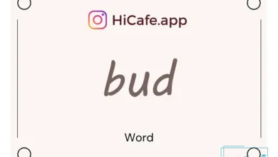 Meaning and usage of bud word