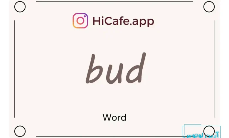 Meaning and usage of bud word