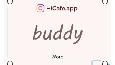 Meaning and usage of buddy word
