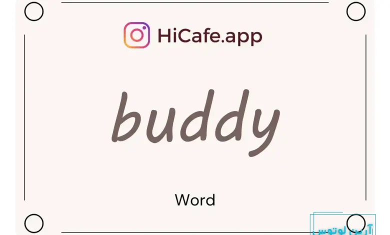 Meaning and usage of buddy word