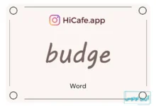 Meaning and usage of budge word