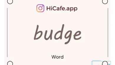 Meaning and usage of budge word