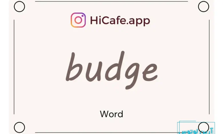 Meaning and usage of budge word