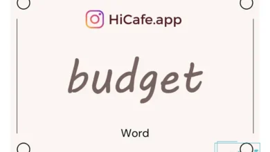 Meaning and usage of budget word