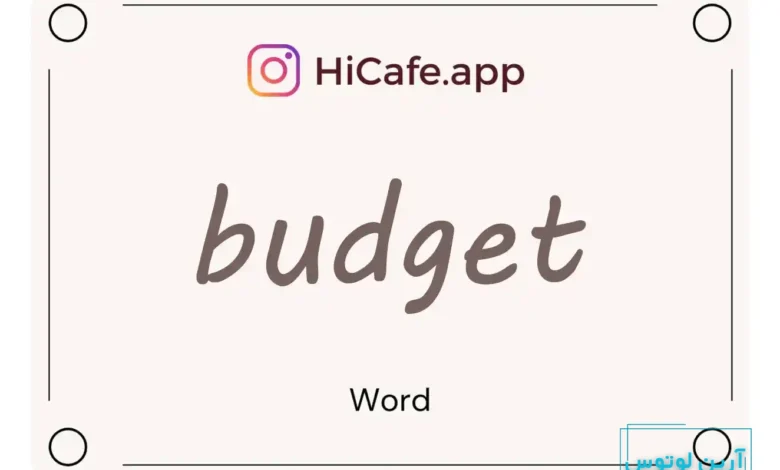 Meaning and usage of budget word