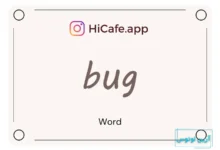 Meaning and usage of bug word