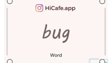 Meaning and usage of bug word