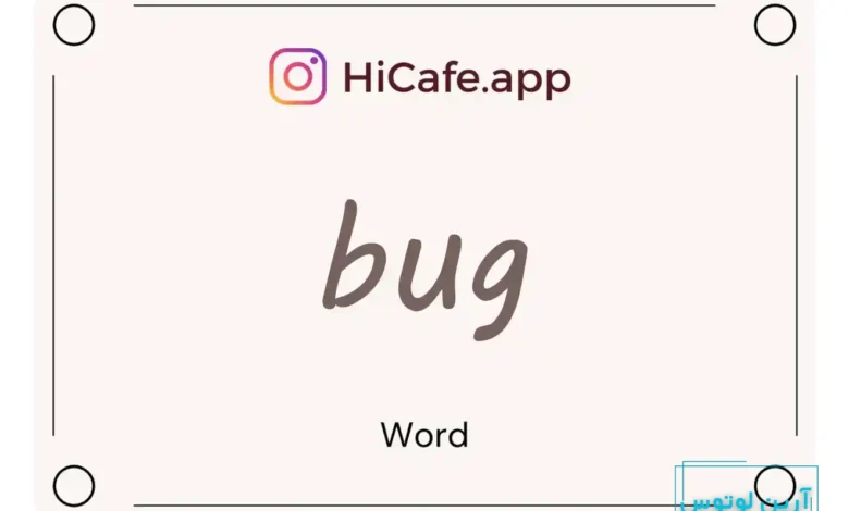Meaning and usage of bug word