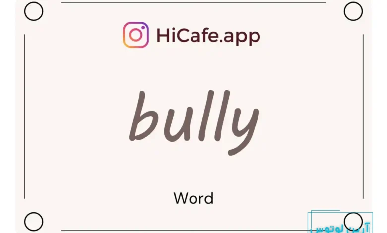 Meaning and usage of bully word