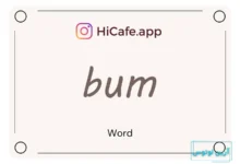 Meaning and usage of bum word