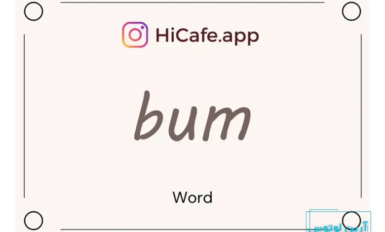 Meaning and usage of bum word
