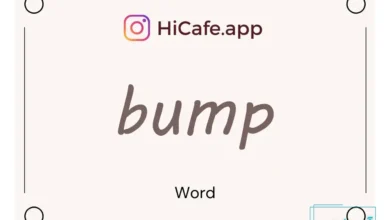 Meaning and usage of bump word