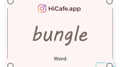 Meaning and usage of bungle word