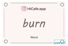 Meaning and usage of burn word