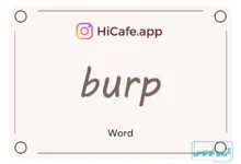Meaning and usage of burp word