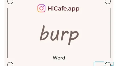 Meaning and usage of burp word