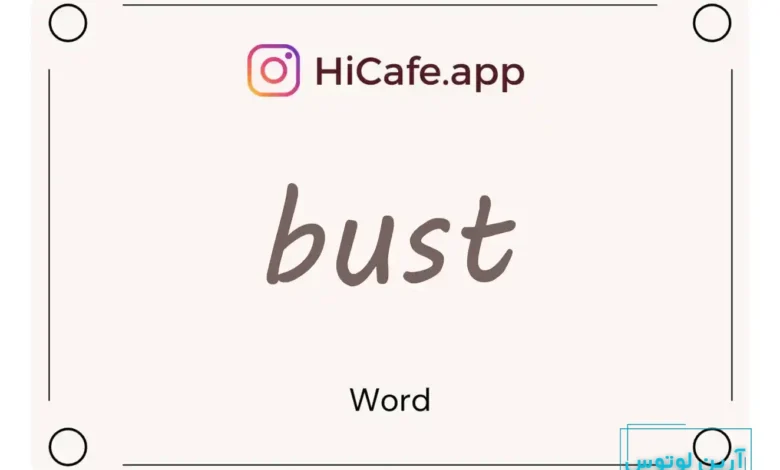 Meaning and usage of bust word