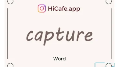 Meaning and usage of capture word