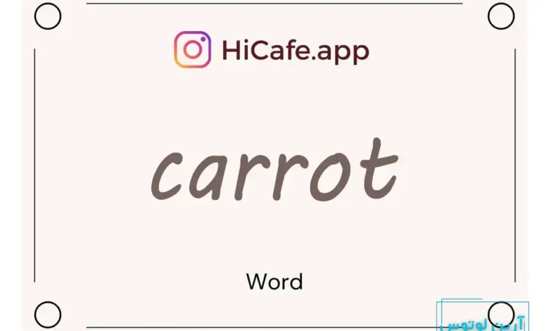 Meaning and usage of carrot word