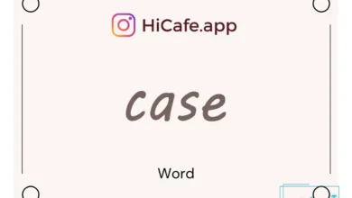 Meaning and usage of case word