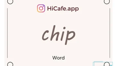 Meaning and usage of chip word