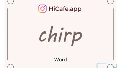 Meaning and usage of chirp word