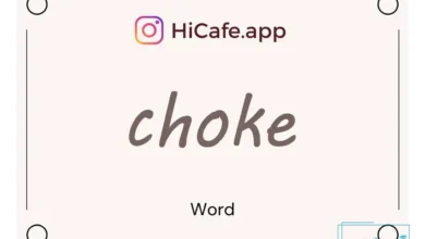 Meaning and usage of choke word