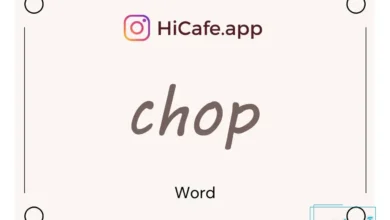 Meaning and usage of chop word