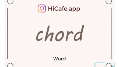 Meaning and usage of chord word