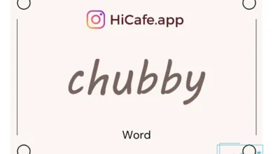 Meaning and usage of chubby word