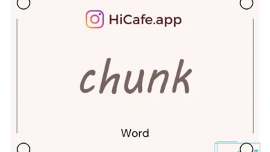 Meaning and usage of chunk word