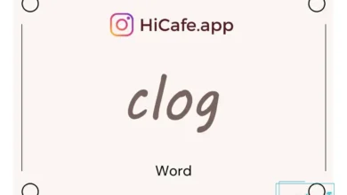 Meaning and usage of clog word