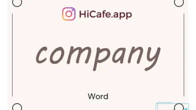Meaning and usage of company word