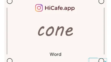 Meaning and usage of cone word