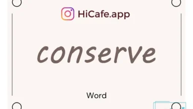 Meaning and usage of conserve word