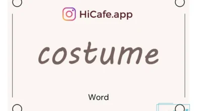 Meaning and usage of costume word