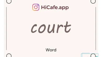 Meaning and usage of court word
