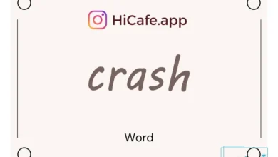 Meaning and usage of crash word