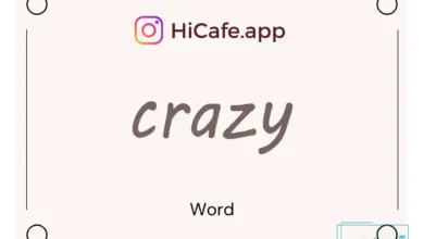 Meaning and usage of crazy word