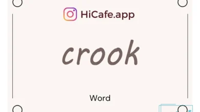 Meaning and usage of crook word