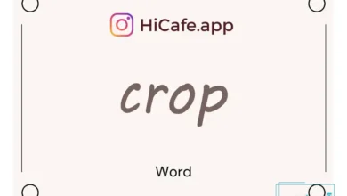 Meaning and usage of crop word
