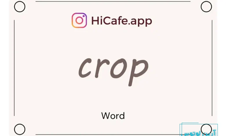 Meaning and usage of crop word