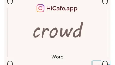 Meaning and usage of crowd word