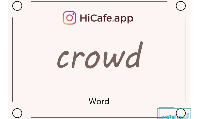 Meaning and usage of crowd word