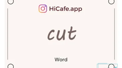 Meaning and usage of cut word