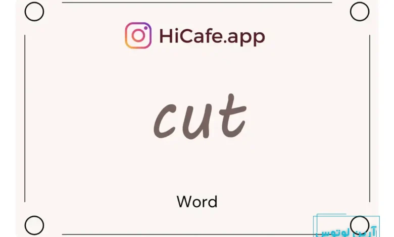 Meaning and usage of cut word