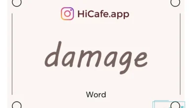 Meaning and usage of damage word